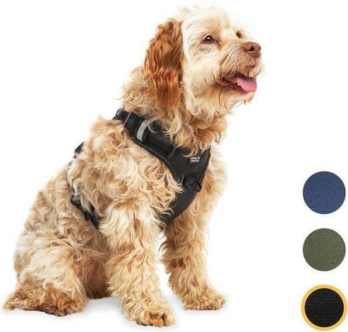 Tweedekans | Jake en Jacky Hondentuigje - Anti-Trek Tuig -, Dieren en Toebehoren, Honden-accessoires, Zo goed als nieuw, Ophalen of Verzenden