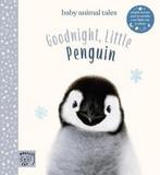 Goodnight, Little Penguin 9781916180598 Amanda Wood, Verzenden, Gelezen, Amanda Wood