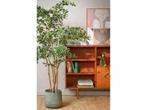 Mica Decorations Kunstplant Olijfboom in Pot - H183 x Ø130, Verzenden