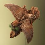 Houtsnip Taxidermie Opgezette Dieren By Max, Verzamelen, Dierenverzamelingen, Ophalen of Verzenden, Nieuw, Vogel, Opgezet dier