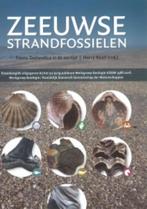 Zeeuwse strandfossielen 9789492170170, Verzenden, Zo goed als nieuw