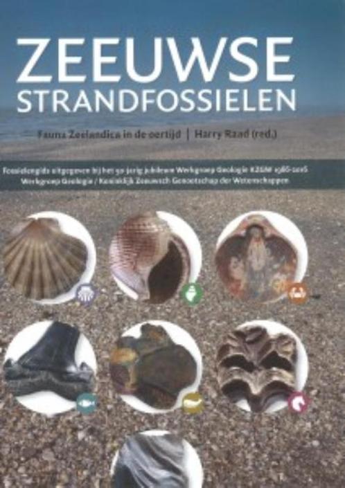 Zeeuwse strandfossielen 9789492170170, Boeken, Hobby en Vrije tijd, Zo goed als nieuw, Verzenden