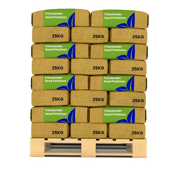 Pootaardappelen Frieslander A 28/35 (40x = 1000kg), Tuin en Terras, Bloembollen en Zaden, Gehele jaar, Volle zon, Verzenden
