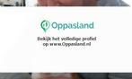 Cor zoekt een oppas in Putten., Vacatures