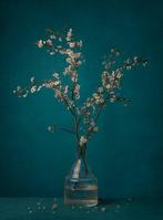 Tessa Posthuma de Boer - For Vincent