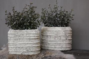 PTMD ovale stenen pot Sand 17 cm beschikbaar voor biedingen