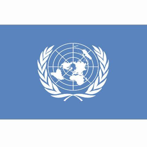 UN United Nations vlag, Diversen, Vlaggen en Wimpels, Verzenden