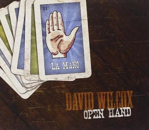 cd - David Wilcox - Open Hand, Cd's en Dvd's, Cd's | Overige Cd's, Zo goed als nieuw, Verzenden