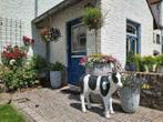 Beleef de lente in zuid Limburg Gulpen Valkenburg Maastricht, Vakantie, Landelijk, Eigenaar, Limburg, Rolstoelvriendelijk