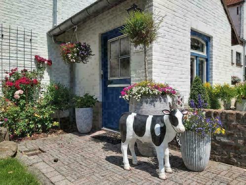 Beleef de Lente in N2000 gebied Gulp- Geuldal bij Maastricht, Vakantie, Vakantie | Aanbiedingen en Last minute, Eigenaar
