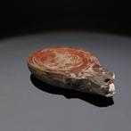 Oud-Romeins Terracotta Olielamp. 2e - 4e eeuw n.Chr. Lengte, Verzamelen