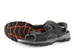 Skechers sandalen in maat 48½ Zwart | 25% korting, Kleding | Heren, Schoenen, Sandalen, Verzenden, Zwart, Zo goed als nieuw