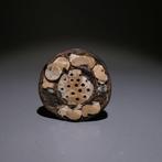 Huari, Peru Hout, parelmoer, Tamba - Oorbel. 3,5 cm D. 700 -