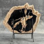 C- Prachtig groot stuk versteend hout op een op maat, Antiek en Kunst