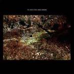lp nieuw - Daniel Norgren - The Green Stone, Verzenden, Zo goed als nieuw