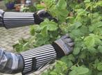 Rozen Handschoenen (zebra kleur, Hadschoen, Tuinaccessoires), Tuin en Terras, Ophalen of Verzenden, Nieuw
