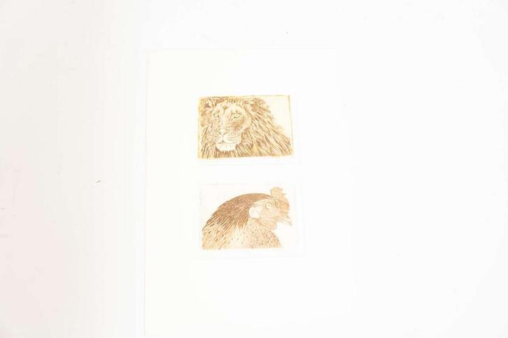 Leeuw en Kip, Huis en Inrichting, Woonaccessoires | Overige, Ophalen of Verzenden