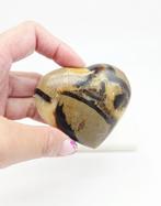 Septarie Hart (Drakenei) zie filmpje, Ophalen of Verzenden