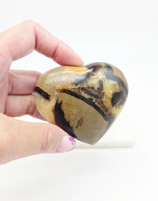 Septarie Hart (Drakenei) zie filmpje, Verzamelen, Mineralen en Fossielen, Ophalen of Verzenden