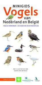 Minigids 1 -   Minigids Vogels van Nederland en België, Jip Louwe Kooijmans, Gelezen, Verzenden