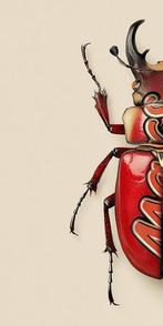 F2B - BeetleCan Mars 1I8, Antiek en Kunst