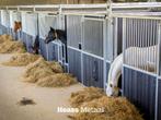 Paardenboxen | Stalwanden | Buitenstal | Staldeur | Stalraam, Stalling, 4 paarden of pony's of meer