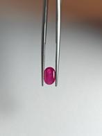 Zonder Minimumprijs - 1 pcs Rood Robijn - 1.48 ct - Antwerp, Nieuw