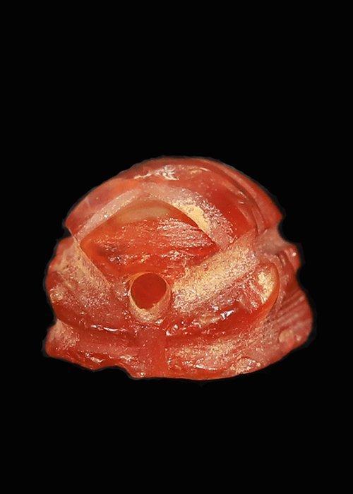 Oude Egypte, late periode Kornalijn Scarab (Zonder, Antiek en Kunst, Antiek | Overige Antiek