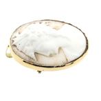 Gouden broche/hanger met camee (Hanger of bedel), Ophalen of Verzenden, Gebruikt, Goud, Overige merken