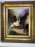 George Armfield (1808-1893) - Cani, Antiek en Kunst, Kunst | Schilderijen | Klassiek