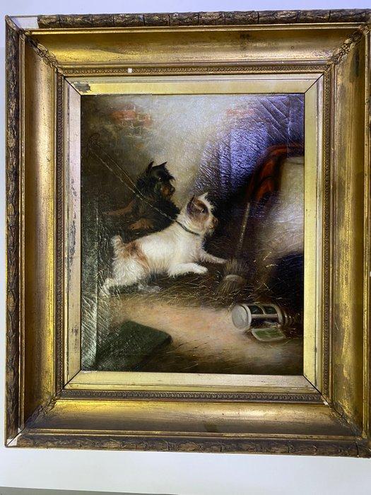 George Armfield (1808-1893) - Cani, Antiek en Kunst, Kunst | Schilderijen | Klassiek