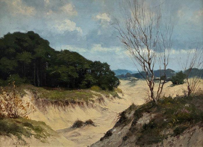 W.J. Alberts (1912-1990) - Duinen, Antiek en Kunst, Kunst | Schilderijen | Klassiek