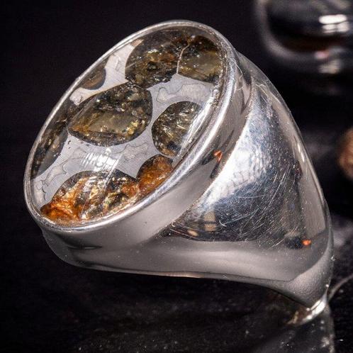 Pallasiet meteorietring, Afrika - Hoogte: 28.5 mm - Breedte:, Verzamelen, Dierenverzamelingen