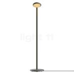 Grau Parrot Vloerlamp LED, zwart messing (Staande lampen), Verzenden, Nieuw