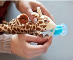 Tweedekans | Philips Avent Knuffel Fopspeen - 0 tot 6, Kinderen en Baby's, Speelgoed | Knuffels en Pluche, Ophalen of Verzenden