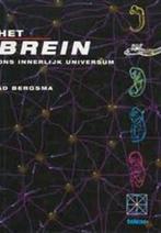 Het brein 9789065334084 A. Bergsma, Boeken, Gelezen, Verzenden, A. Bergsma