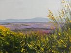 Franco Bencivenga (1953) - Paesaggio con ginestre