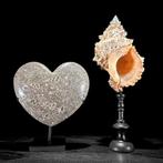 Decoratief ornament (2) - NO RESERVE PRICE - Stunning Pair