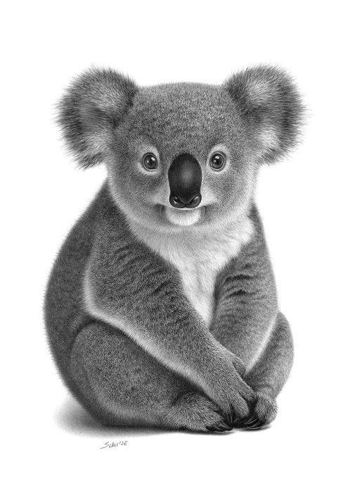 Schu - Koala Joey, Antiek en Kunst, Kunst | Designobjecten