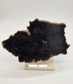 Versteend hout 595 gram, Verzamelen, Mineralen en Fossielen, Ophalen of Verzenden