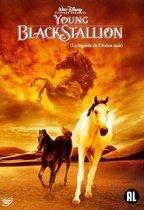dvd film - - Young Black Stallion DVD Disney, Zo goed als nieuw, Verzenden
