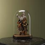 Vlinders in Stolp Taxidermie Opgezette Dieren By Max, Verzamelen, Dierenverzamelingen, Ophalen of Verzenden, Nieuw, Insect, Opgezet dier