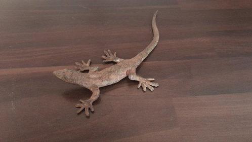other Pierre Chanet foundry - sculptuur, Lézard a la longue, Antiek en Kunst, Curiosa en Brocante