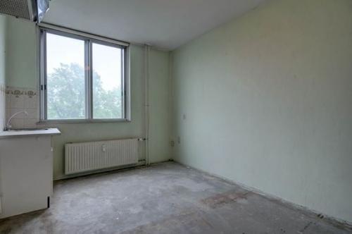 Te Huur Studio Wethouder Driessenstraat In Amsterdam, Huizen en Kamers, Kamers te huur, 20 tot 35 m², Amsterdam