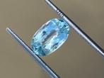 1 pcs Groen, Blauw Toermalijn - 2.32 ct - Gemological, Nieuw