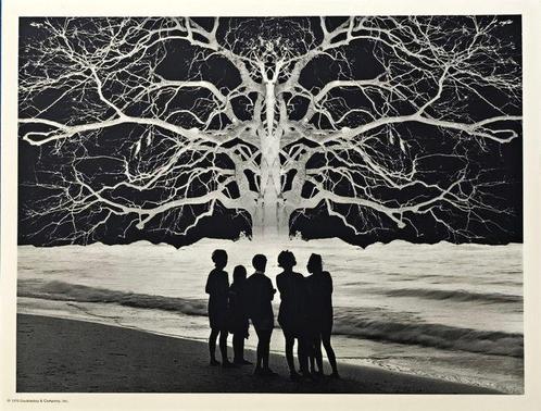 Jerry Uelsmann - Apocalypse II, 1967, Antiek en Kunst, Kunst | Designobjecten