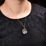 Geen veilingreserve - ALGT Gecertificeerd - Grote en Zeer, Verzamelen