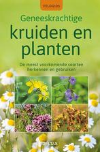 Veldgids - Geneeskrachtige kruiden en planten 9789044757026, Boeken, Verzenden, Gelezen, Elfrune WENDELBERGER
