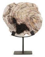 MUST Living Ornament Fossil Versteend hout, 33cm hoog, Huis en Inrichting, Nieuw, Verzenden