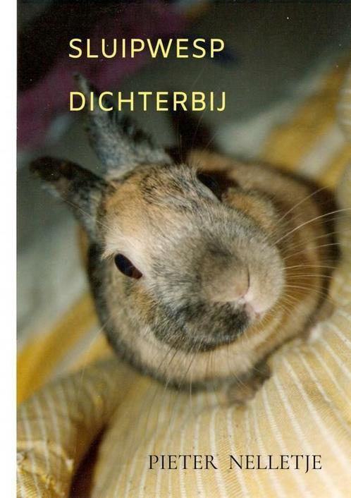 SLUIPWESP 9789403726137 Pieter Nelletje, Boeken, Gedichten en Poëzie, Gelezen, Verzenden